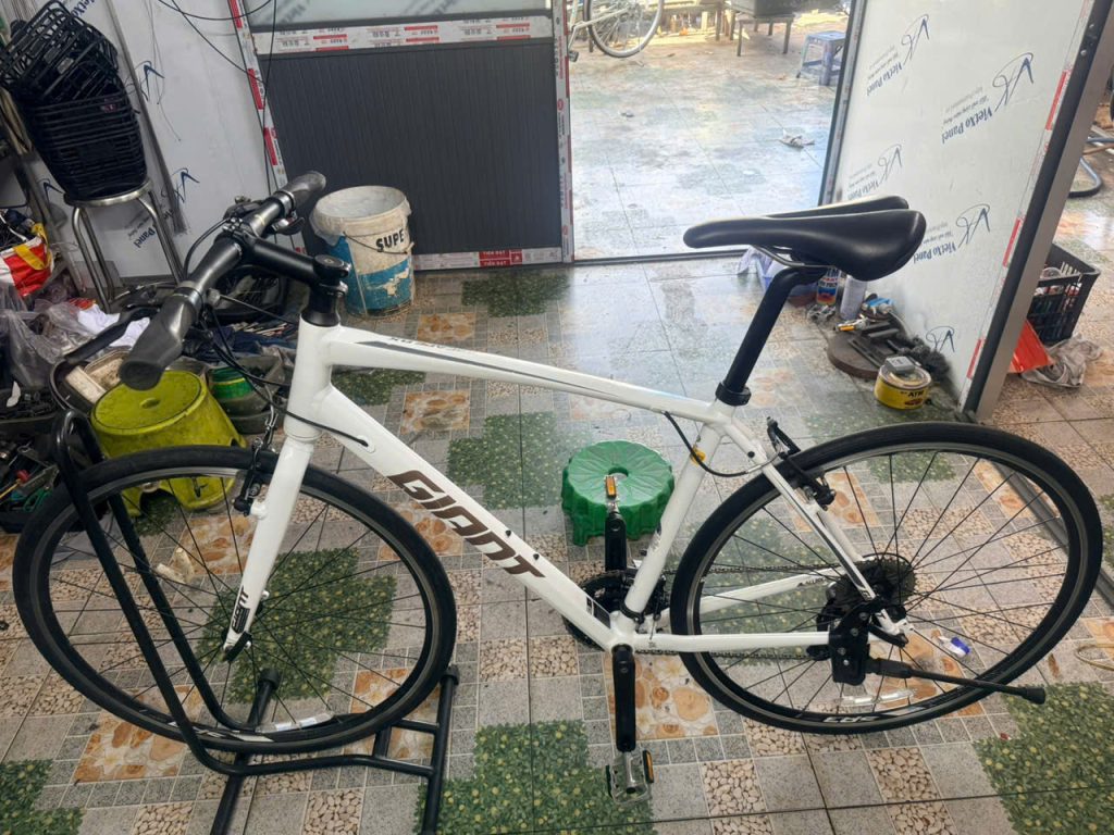 Xe đạp nhật bãi GIANT RX dây âm sườn