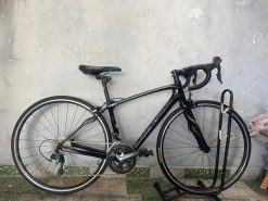 Xe đạp Carbon Specialized nhật bãi