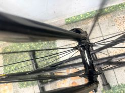 Xe đạp Carbon Specialized nhật bãi