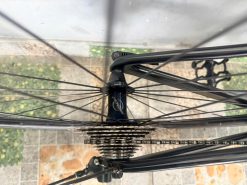 Xe đạp Carbon Specialized nhật bãi