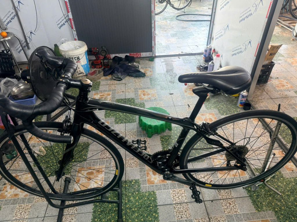Xe đạp Carbon Specialized nhật bãi