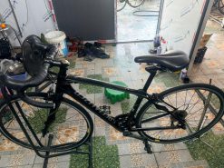 Xe đạp Carbon Specialized nhật bãi