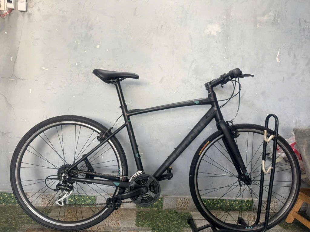 Xe đạp Bianchi dây âm sườn 