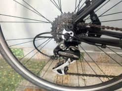 Xe đạp Bianchi dây âm sườn