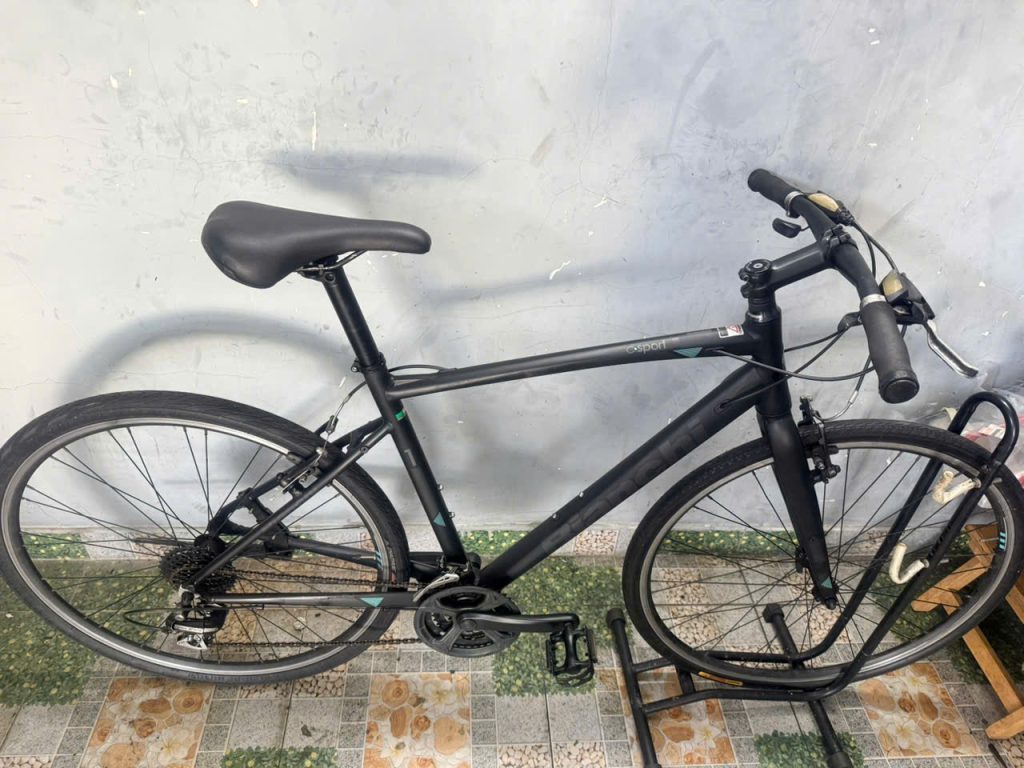 Xe đạp Bianchi dây âm sườn 