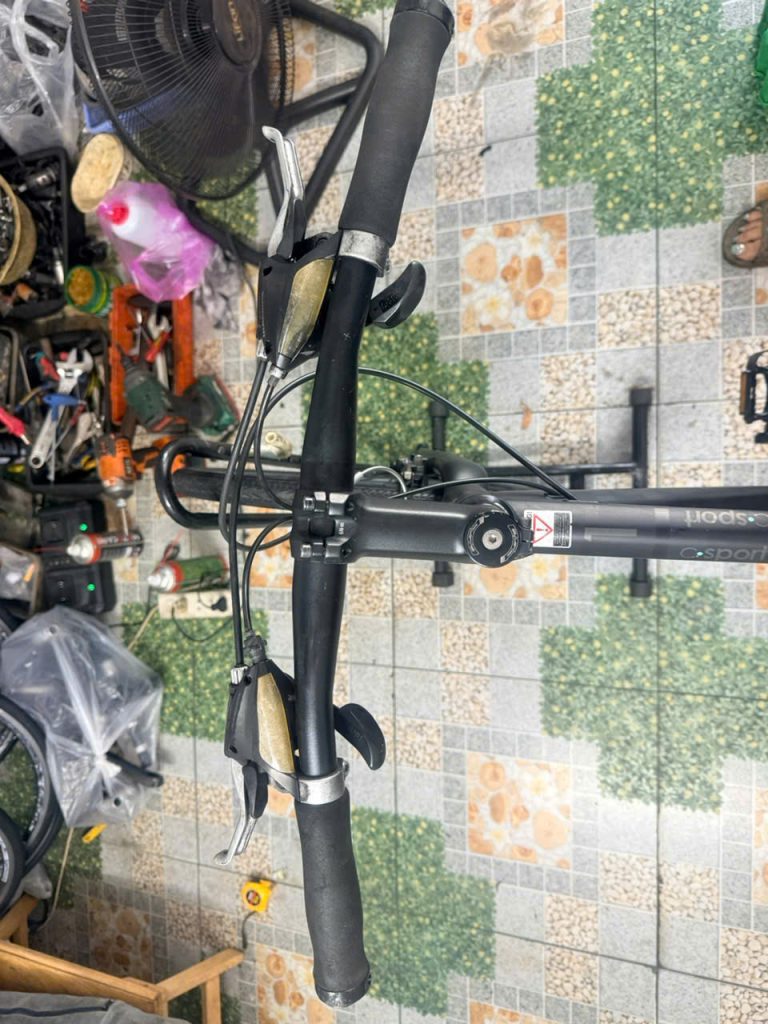 Xe đạp Bianchi dây âm sườn 