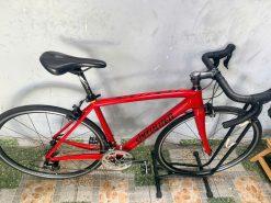 Xe đạp nhật bãi Carbon Specialized