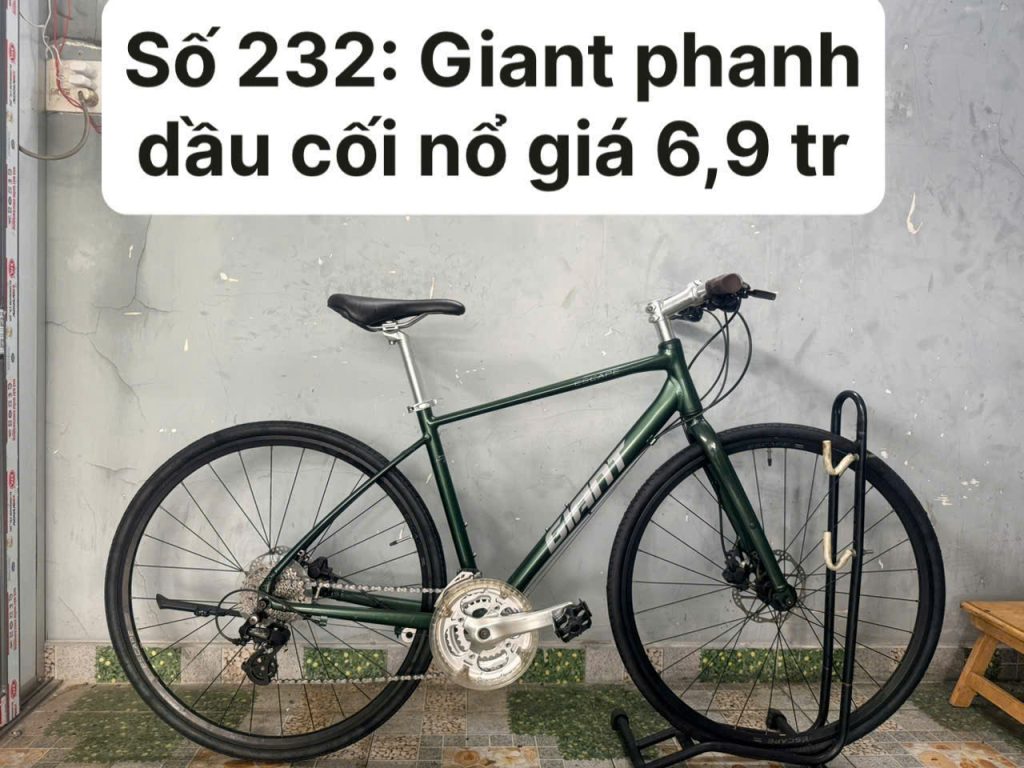 Xe đạp Giant Escape phanh đĩa dầu