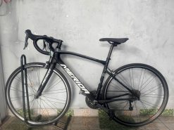 Xe đạp Merida Carbon nhật bãi