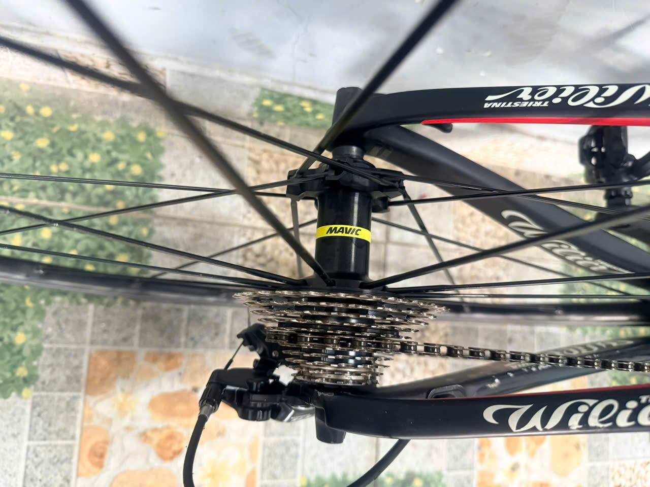 Xe đạp carbon Wilier nhật bãi Xe đạp carbon Wilier nhật bãi