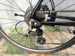 Xe đạp Bianchi Roma phanh đĩa dầu