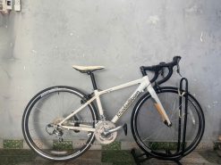 Xe đạp nhật bãi KhodaaBloom tay cong