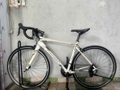 Xe đạp nhật bãi Precision càng carbon