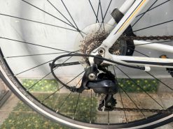 Xe đạp nhật bãi Precision càng carbon