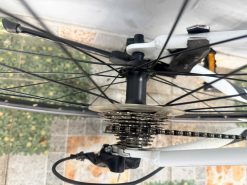 Xe đạp nhật bãi Precision càng carbon