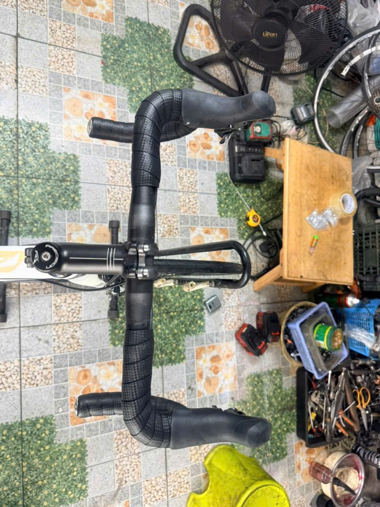 Xe đạp nhật bãi Precision càng carbon