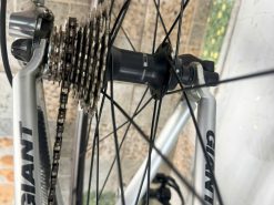Xe đạp nhật bãi Giant khung carbon