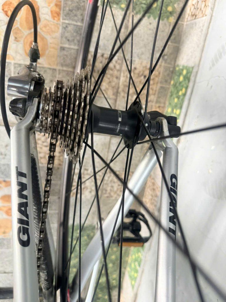 Xe đạp nhật bãi Giant khung carbon 