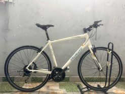 Xe đạp Specialized nhật bãi dây âm sườn