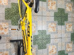 Xe đạp nhật bãi Scott Group 105