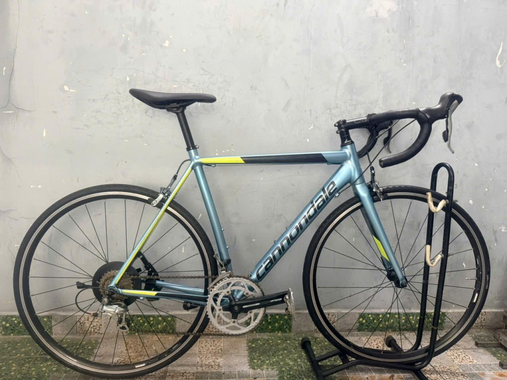Shimano Claris có đủ dùng không 
