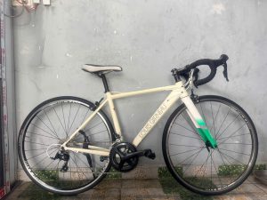 Mua xe đạp Nhật bãi tại Thủ Đức