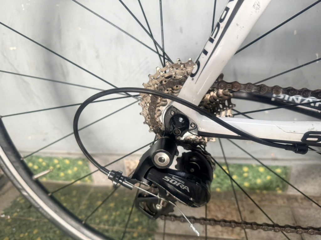 Xe đạp nhật bãi PINARELLO trục rỗng 