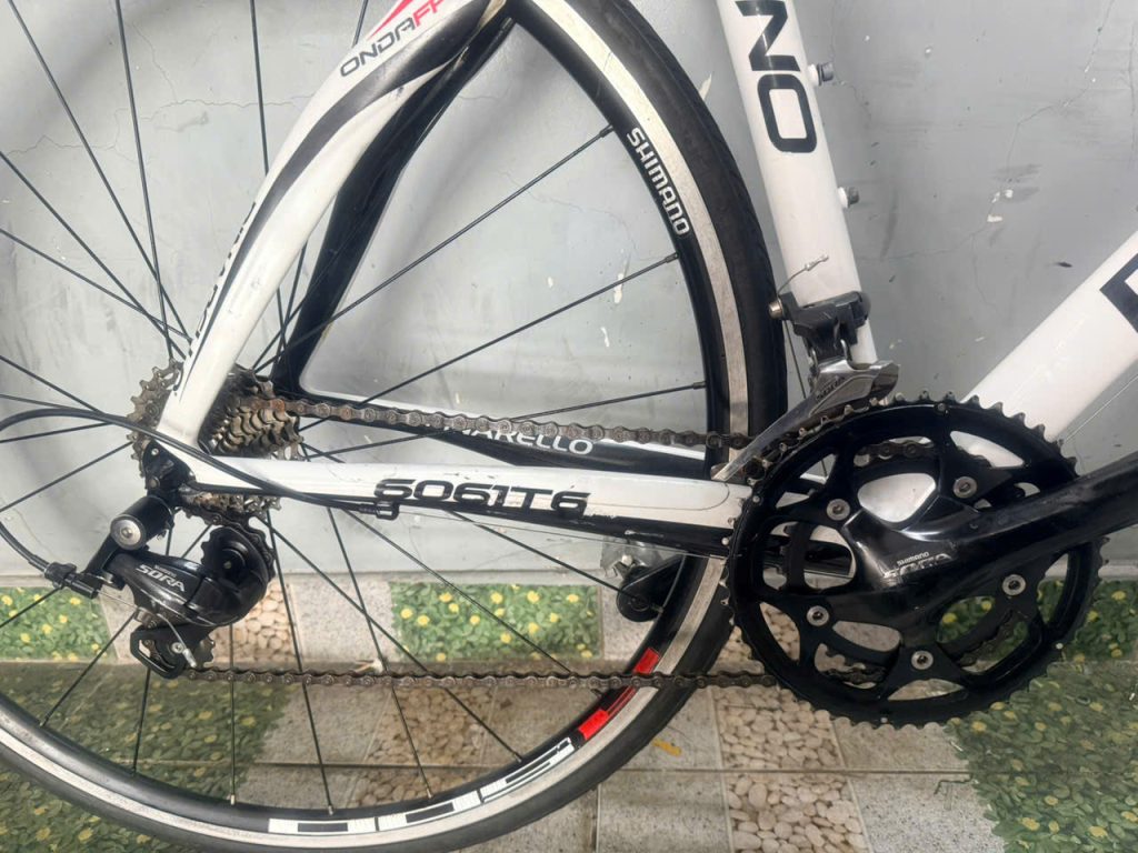 Xe đạp nhật bãi PINARELLO trục rỗng 