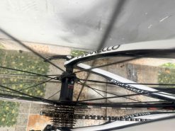Xe đạp nhật bãi PINARELLO trục rỗng