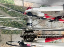 Xe đạp Bianchi Cielo có phộc nhún