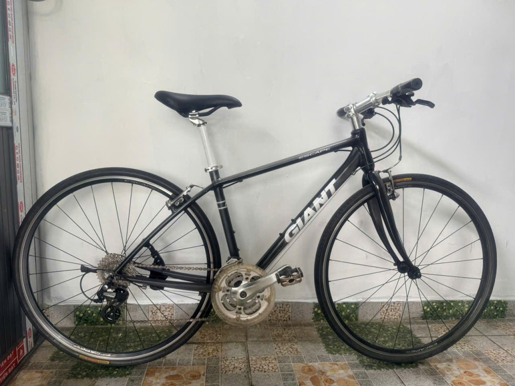 Trek và Giant nên mua loại nào 