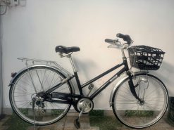 Xe đạp Mini cào cào bãi nhật