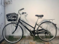 Xe đạp Mini cào cào bãi nhật