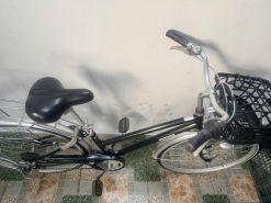 Xe đạp Mini cào cào bãi nhật