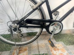 Xe đạp Mini cào cào bãi nhật