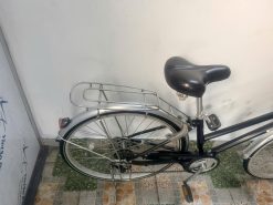Xe đạp Mini cào cào bãi nhật