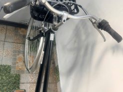 Xe đạp Mini cào cào bãi nhật